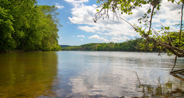 Tragic Incident: Father-Son Drowning at Lake Anna – Causes, Prevention & Safety Tips